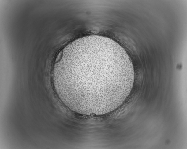 X0000103411105200810031240