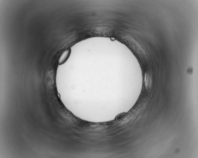 X0000103411107200810031240