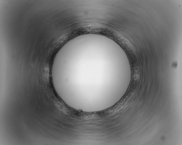 X0000103411108200810031240