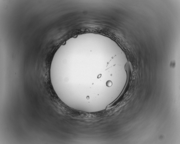 X0000103411109200810031240