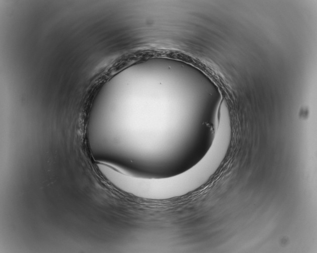 X0000103411110200810031240