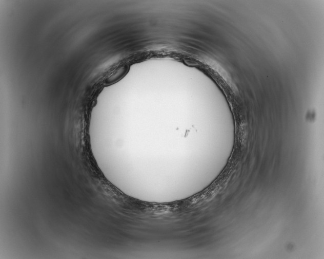 X0000103411111200810031240