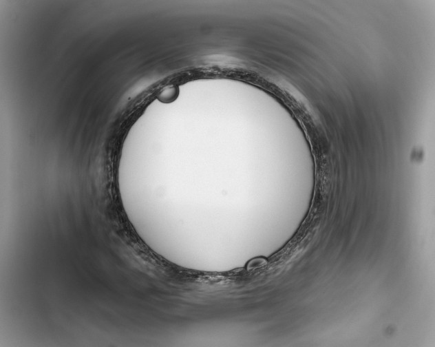 X0000103411112200810031240