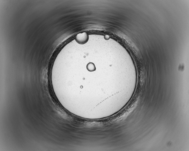 X0000103411113200810031240