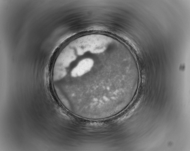 X0000103411117200810031240