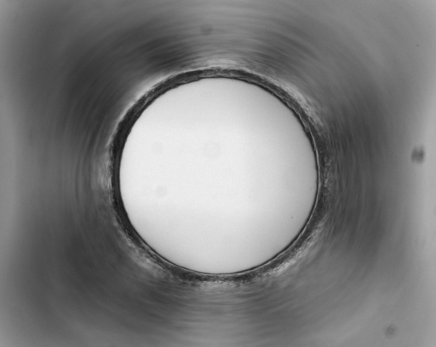 X0000103411118200810031240