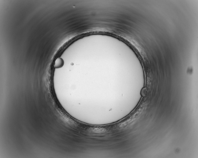 X0000103411119200810031240