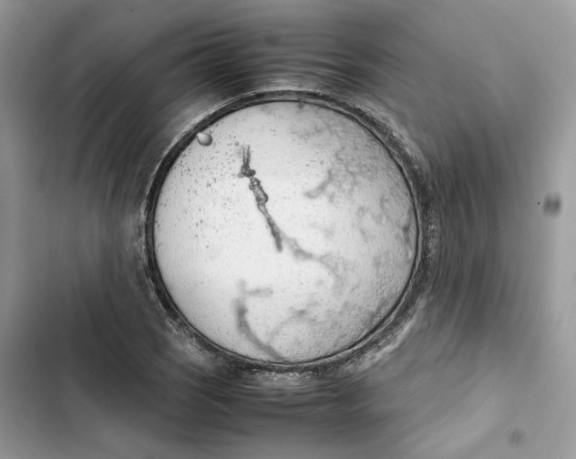 X0000103411121200810031240