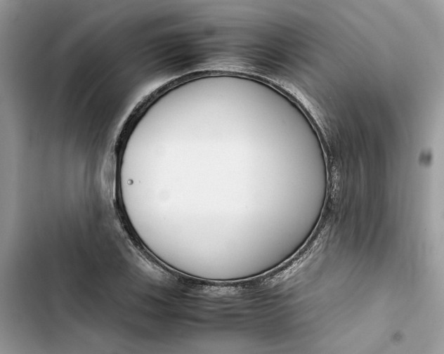 X0000103411123200810031240