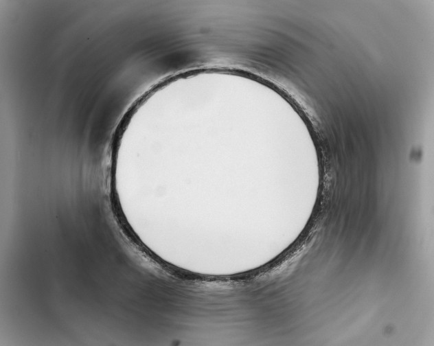 X0000103411126200810031240