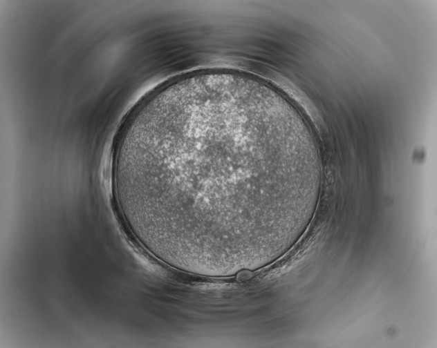 X0000103411127200810031240