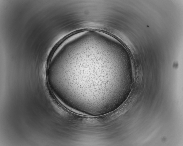 X0000103411128200810031240