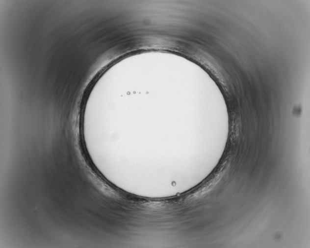 X0000103411130200810031240