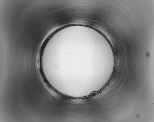 X0000103411131200810031240