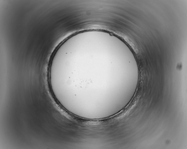 X0000103411134200810031240