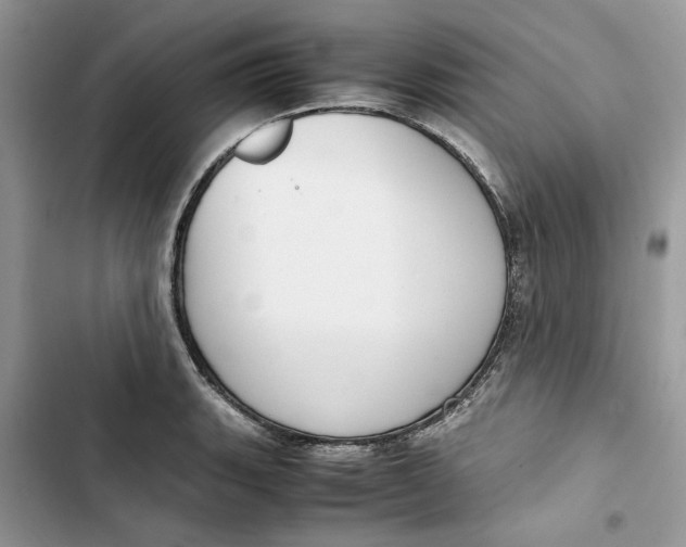 X0000103411135200810031240