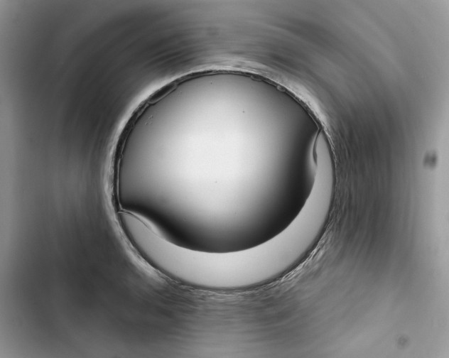 X0000103411136200810031240