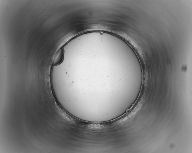 X0000103411137200810031240