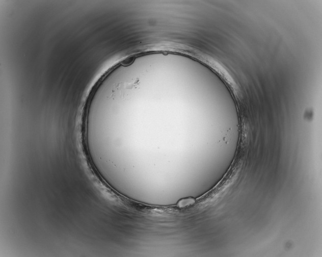 X0000103411138200810031240