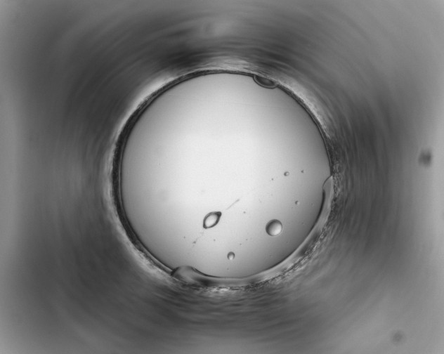 X0000103411139200810031240