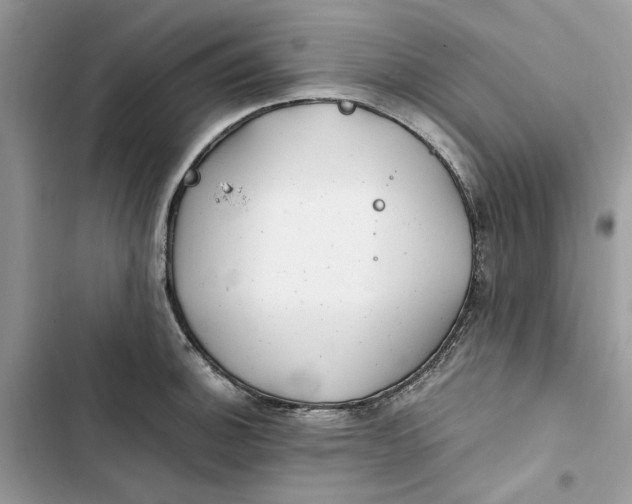 X0000103411140200810031240