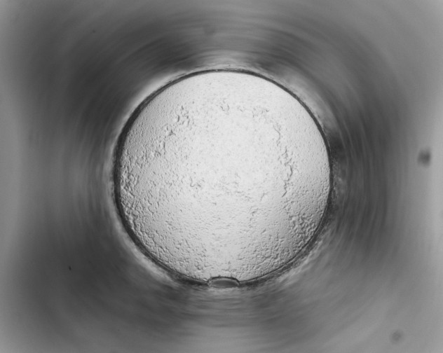 X0000103411142200810031240