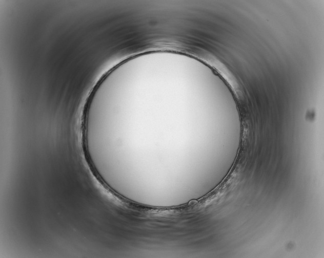 X0000103411143200810031240