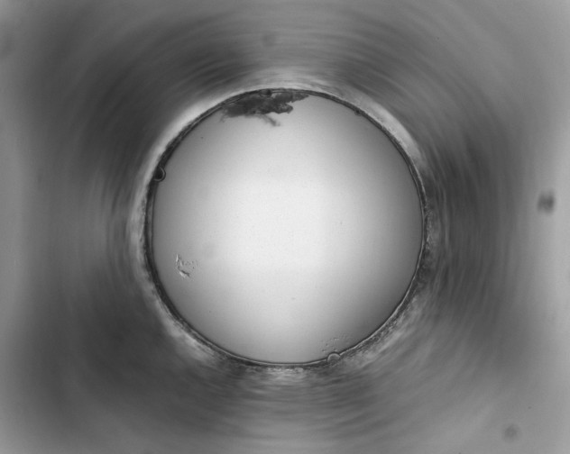 X0000103411144200810031240