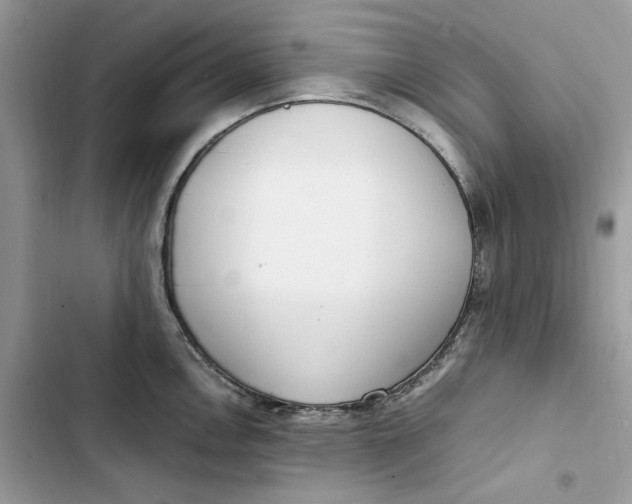 X0000103411146200810031240