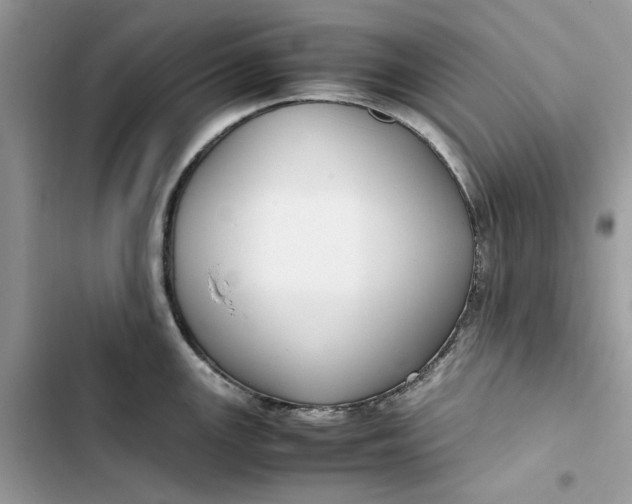 X0000103411147200810031240