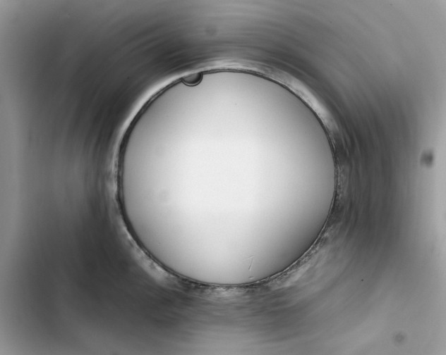 X0000103411148200810031240