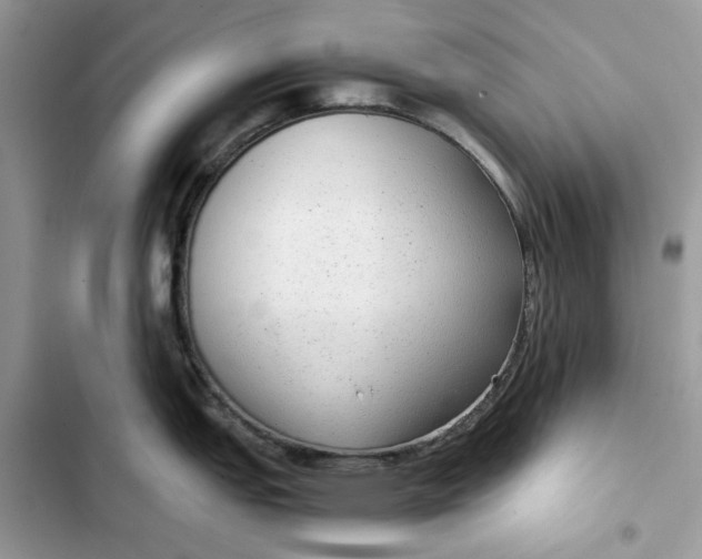 X0000103411151200810031240