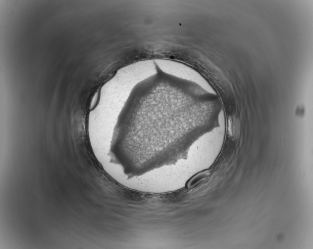 X0000103411155200810031240