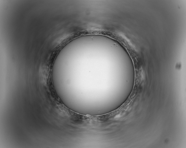 X0000103411157200810031240