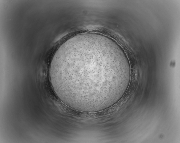 X0000103411158200810031240