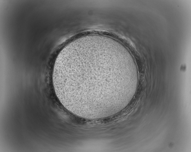 X0000103411159200810031240