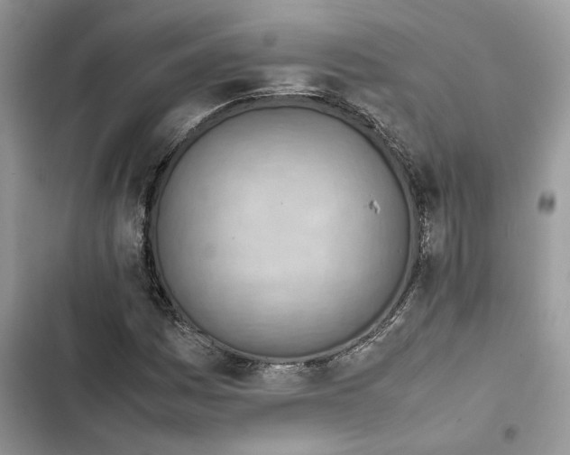 X0000103411161200810031239