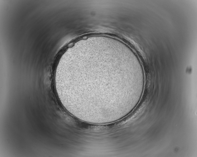 X0000103411163200810031239