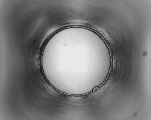 X0000103411164200810031239