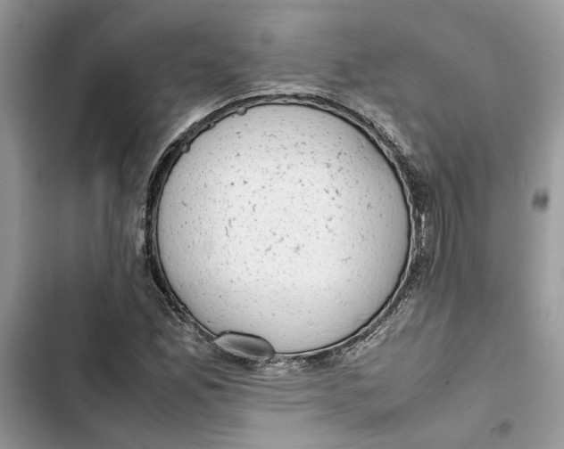 X0000103411165200810031239