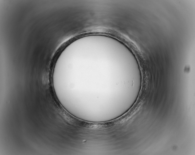 X0000103411166200810031239