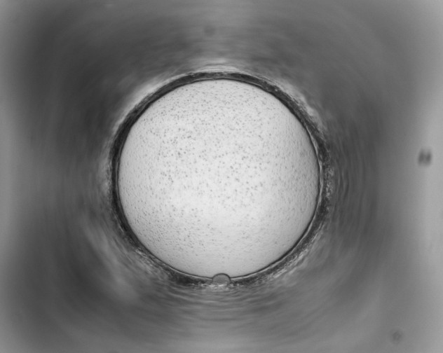 X0000103411167200810031239