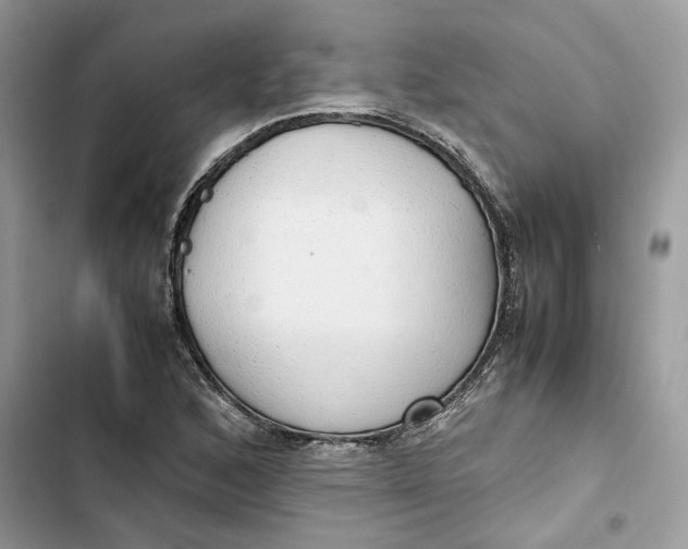 X0000103411168200810031239