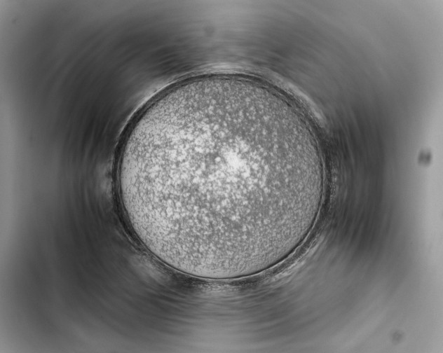 X0000103411170200810031239