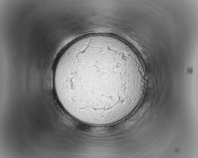 X0000103411171200810031239