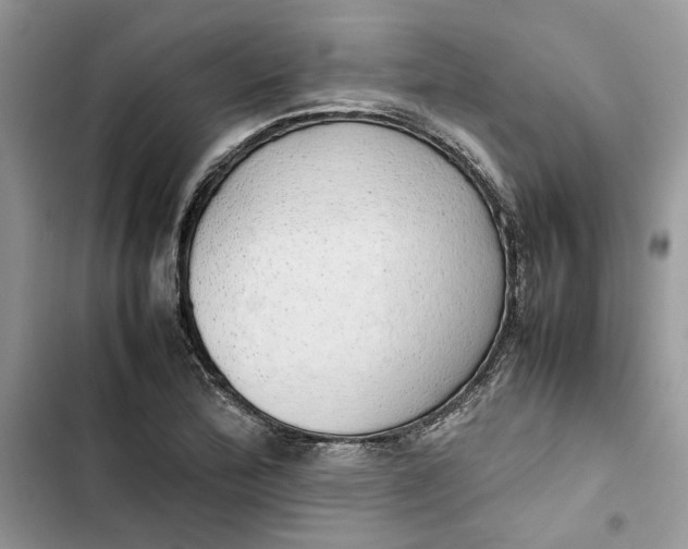 X0000103411172200810031239