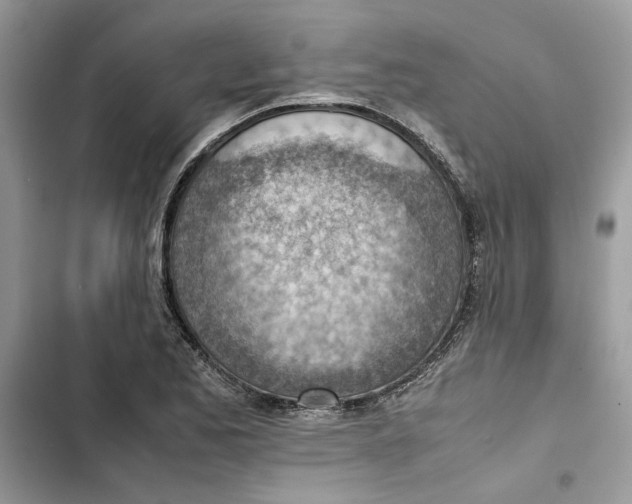 X0000103411173200810031239