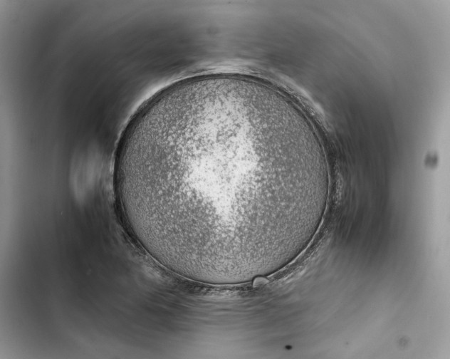 X0000103411174200810031239