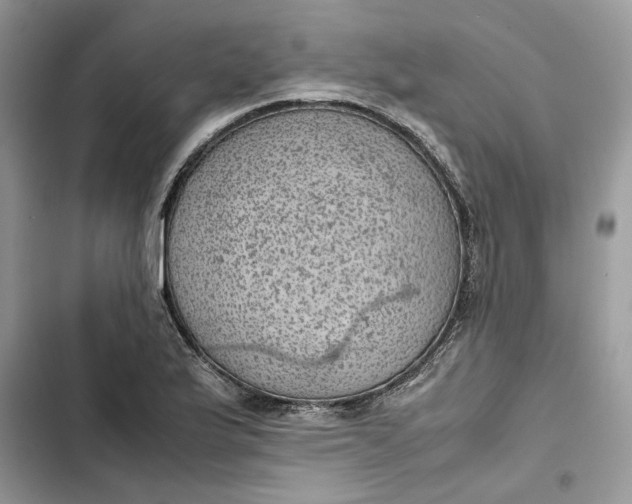 X0000103411175200810031239