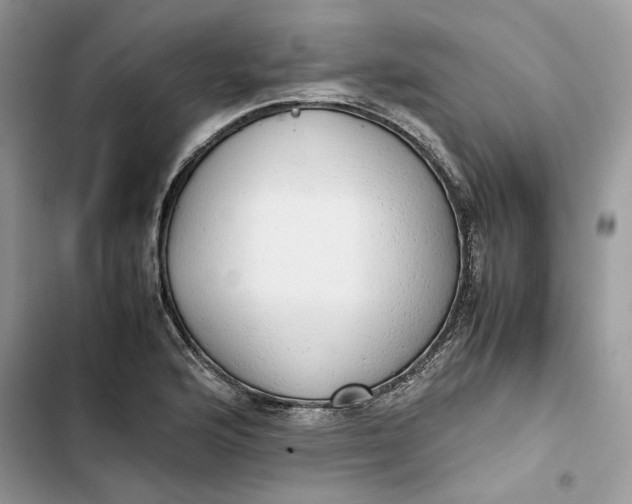 X0000103411176200810031239